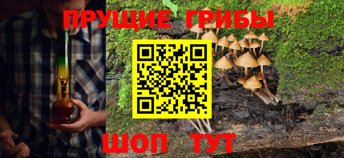 Галлюциногенные грибы Magic Shrooms  Вход с VPN  где купить наркотик  Кашира  Галлюциногенные грибы мицелий 